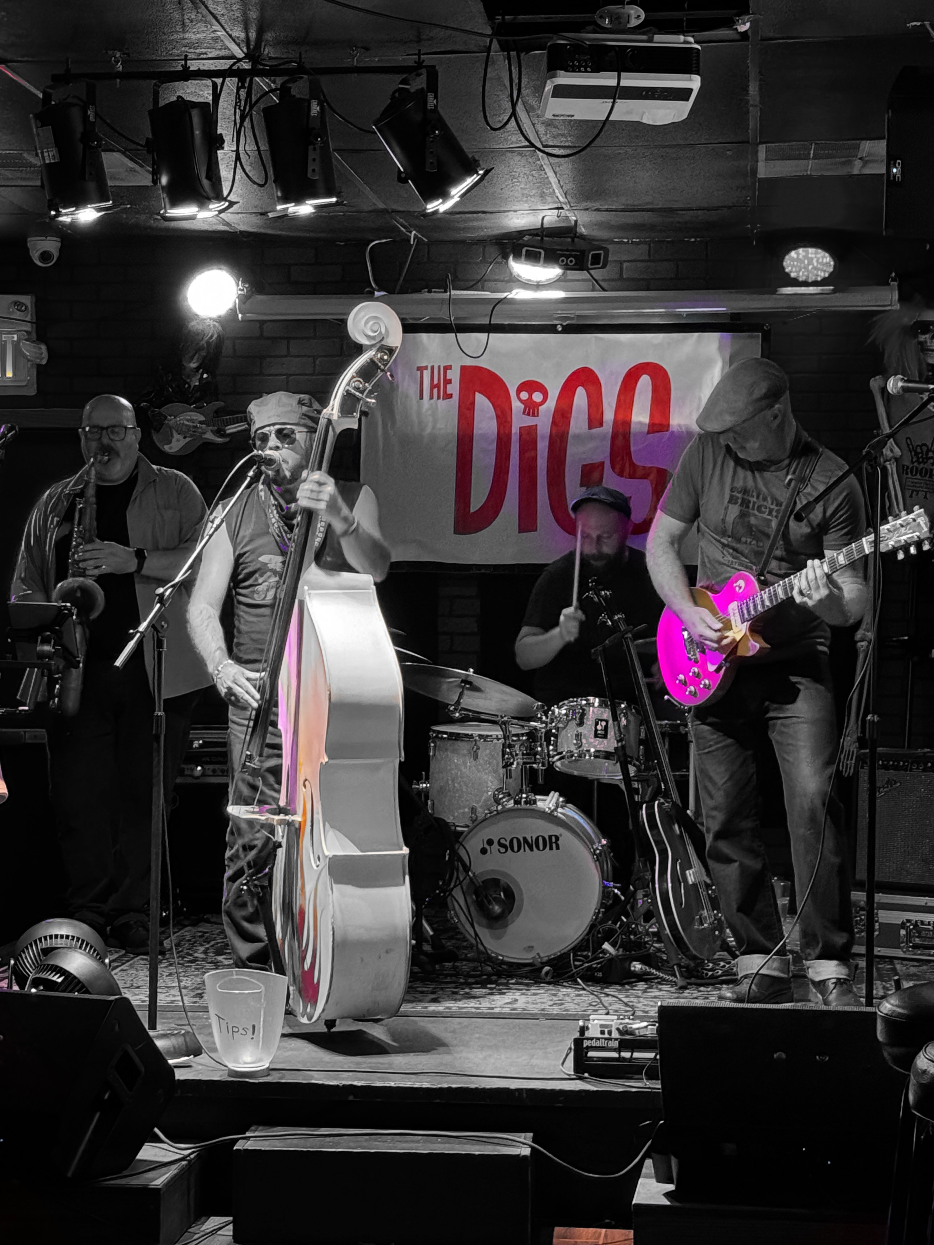 The Digs live performance photo